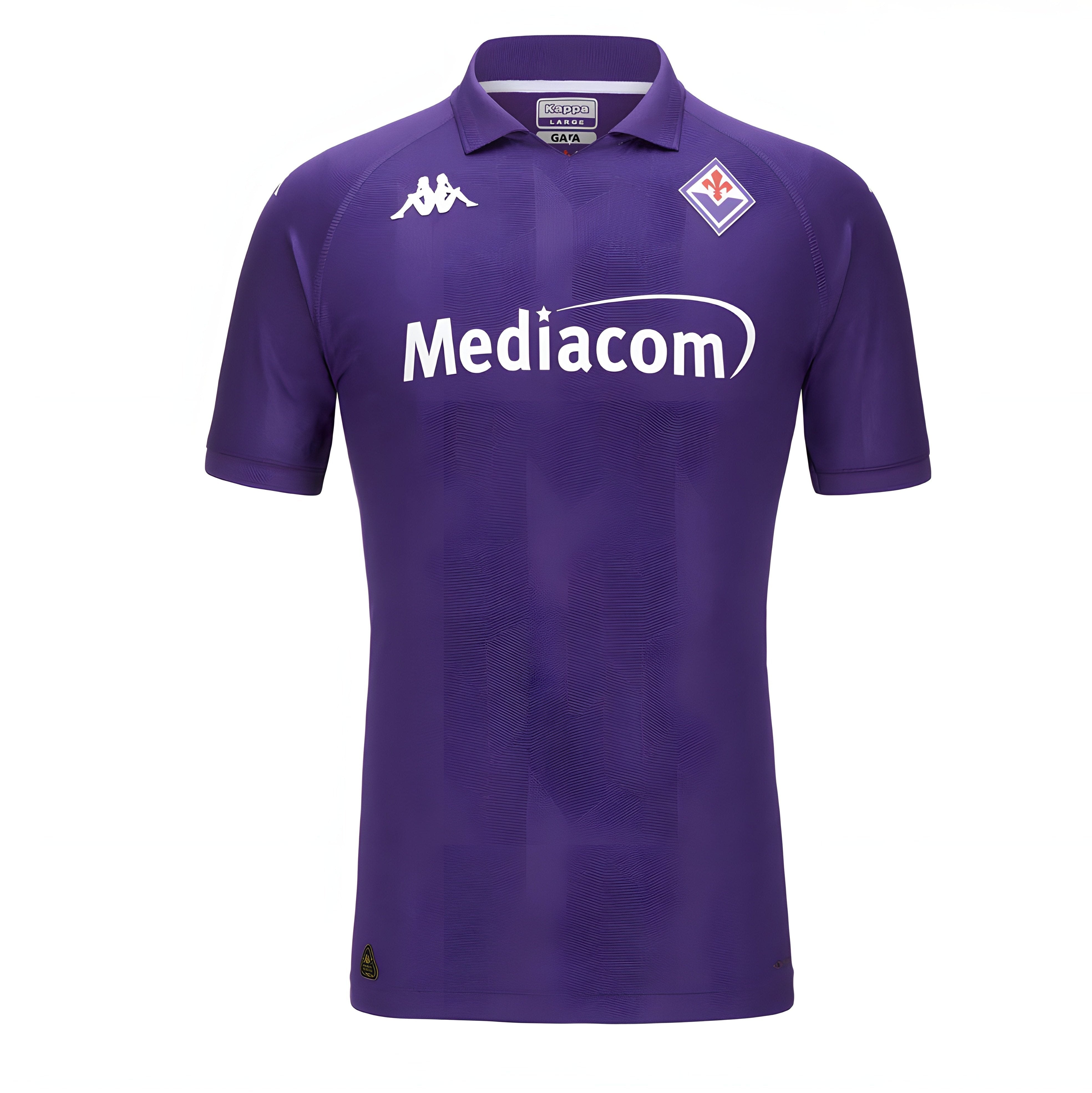 Fiorentina 24/25 Home